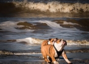 大坂直美重要时刻持续失利，美国队带队取胜！热度持续攀升